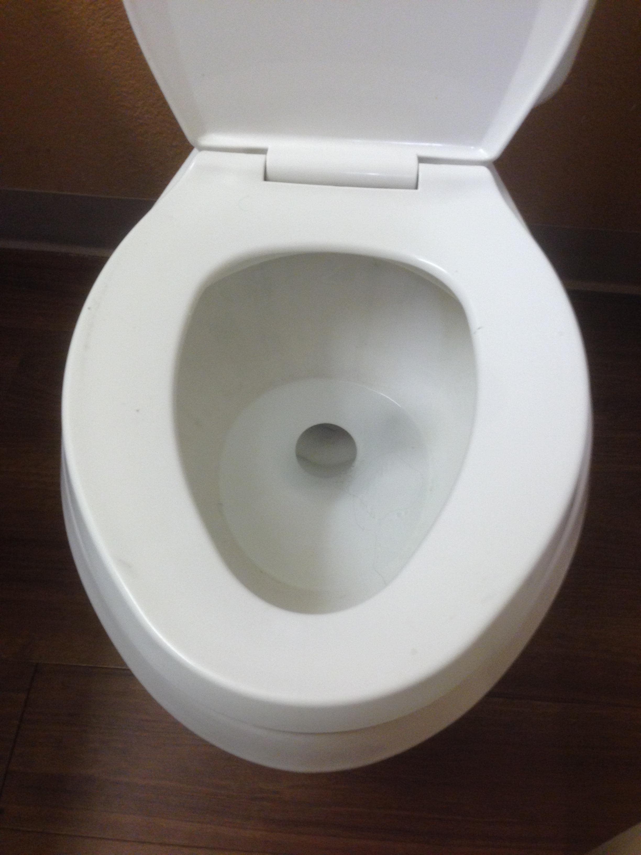 Dirty Toilet