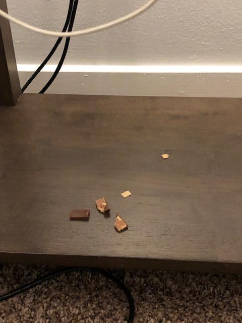 Chocolate Candy Found on Floor