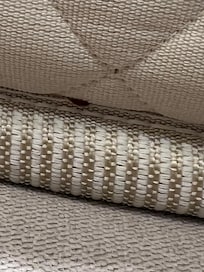 Bed bug in Seam of mattress
