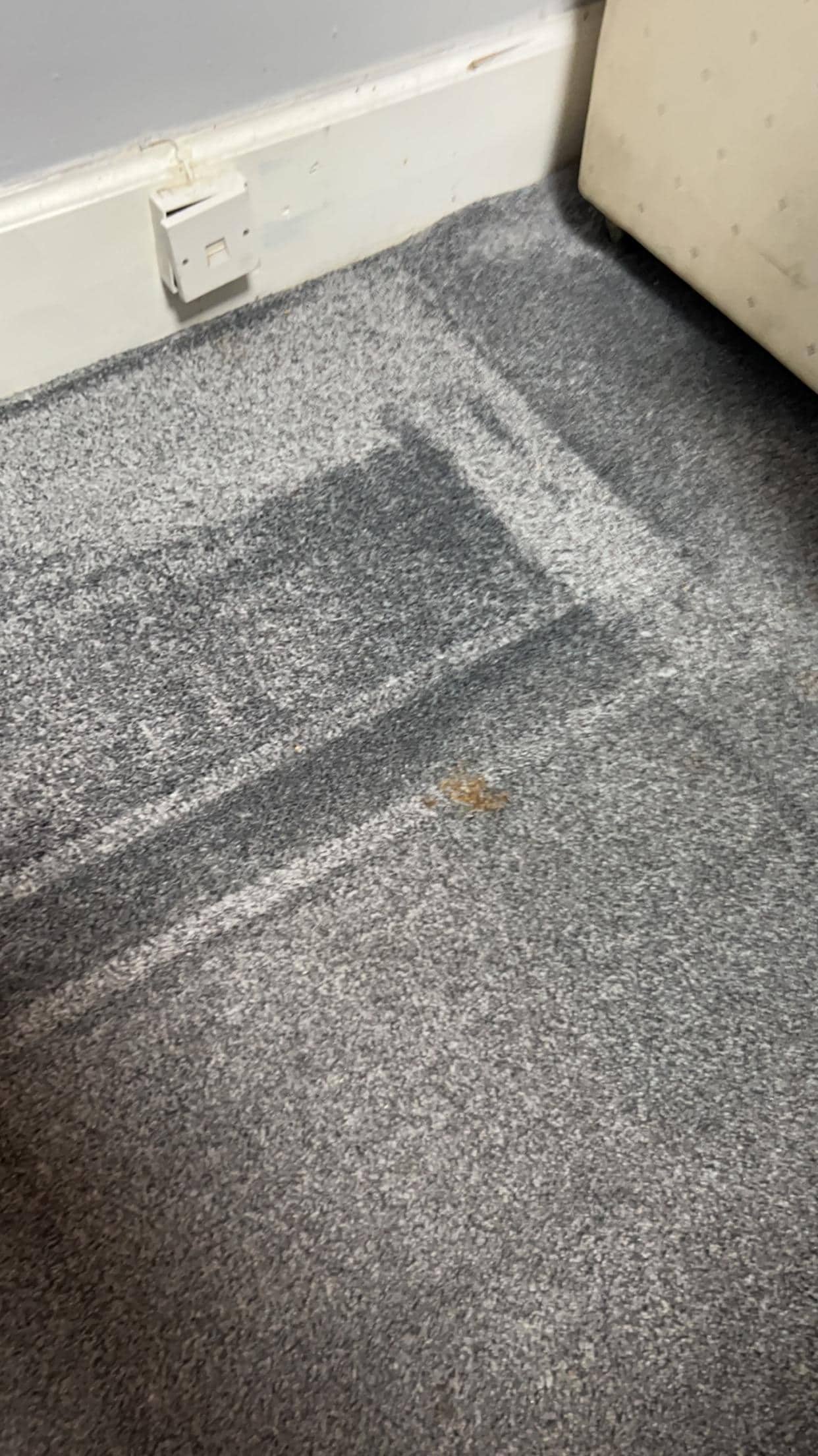 Poo Stain on floor