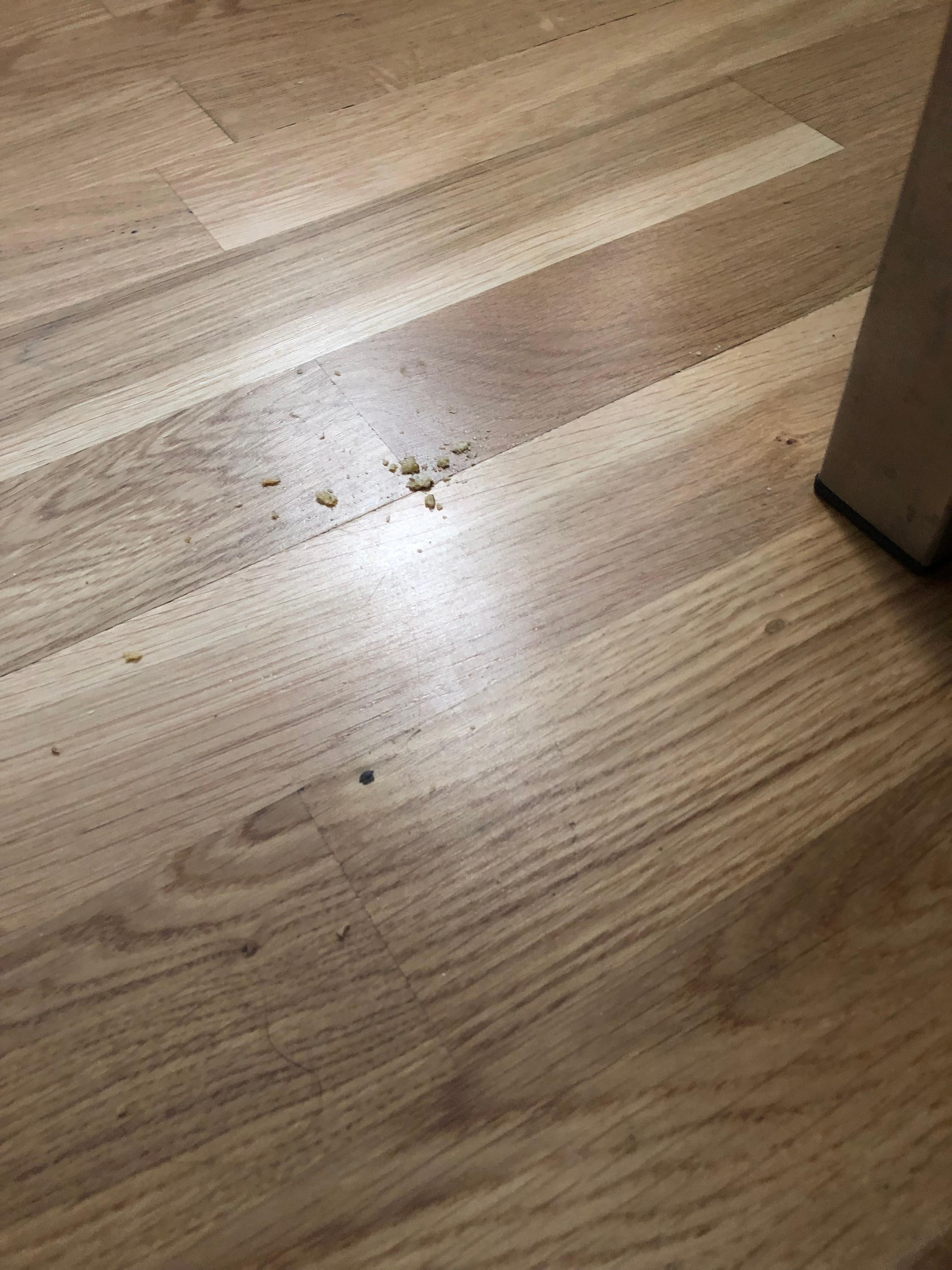 Matrester på gulvet