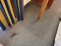 Flecken über den ganzen Teppich verteilt