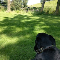 Hundefreundlich
