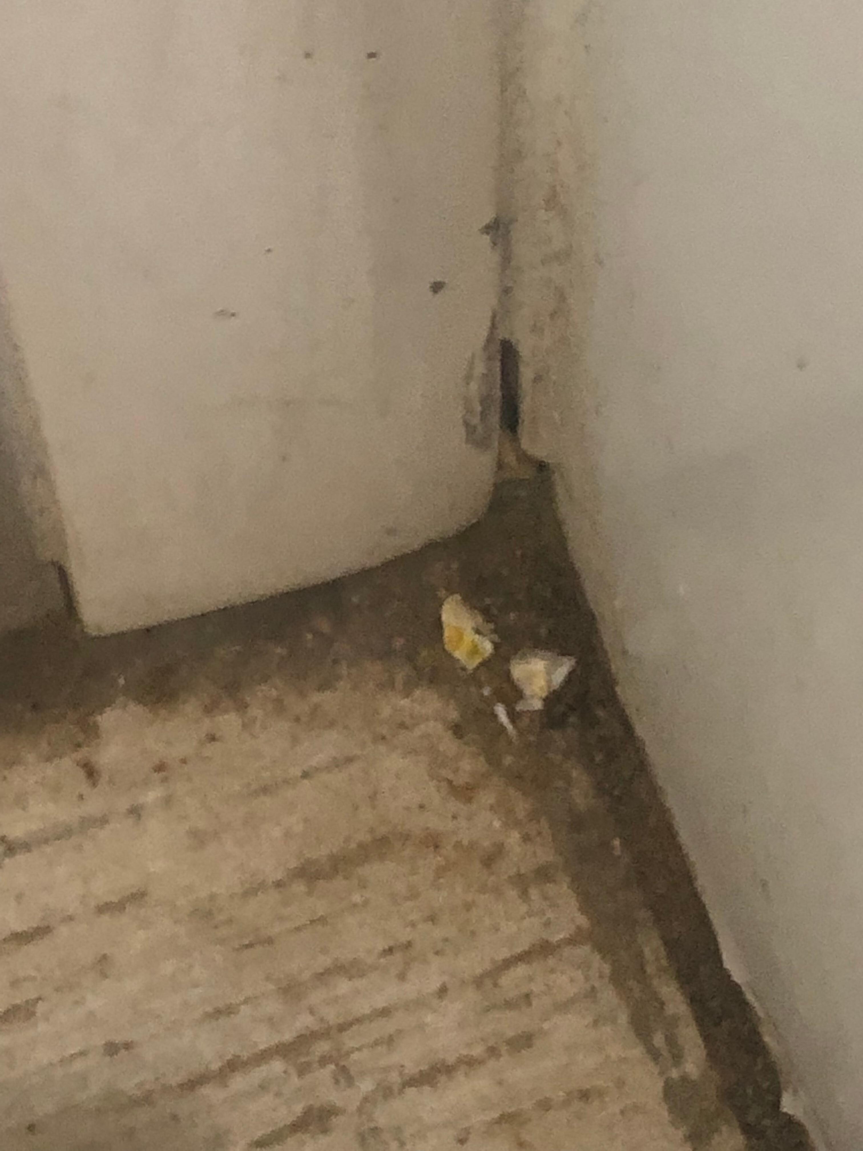 Dirty bathroom floor