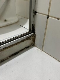There was black mold all over the ceiling and mildew around the shower door.