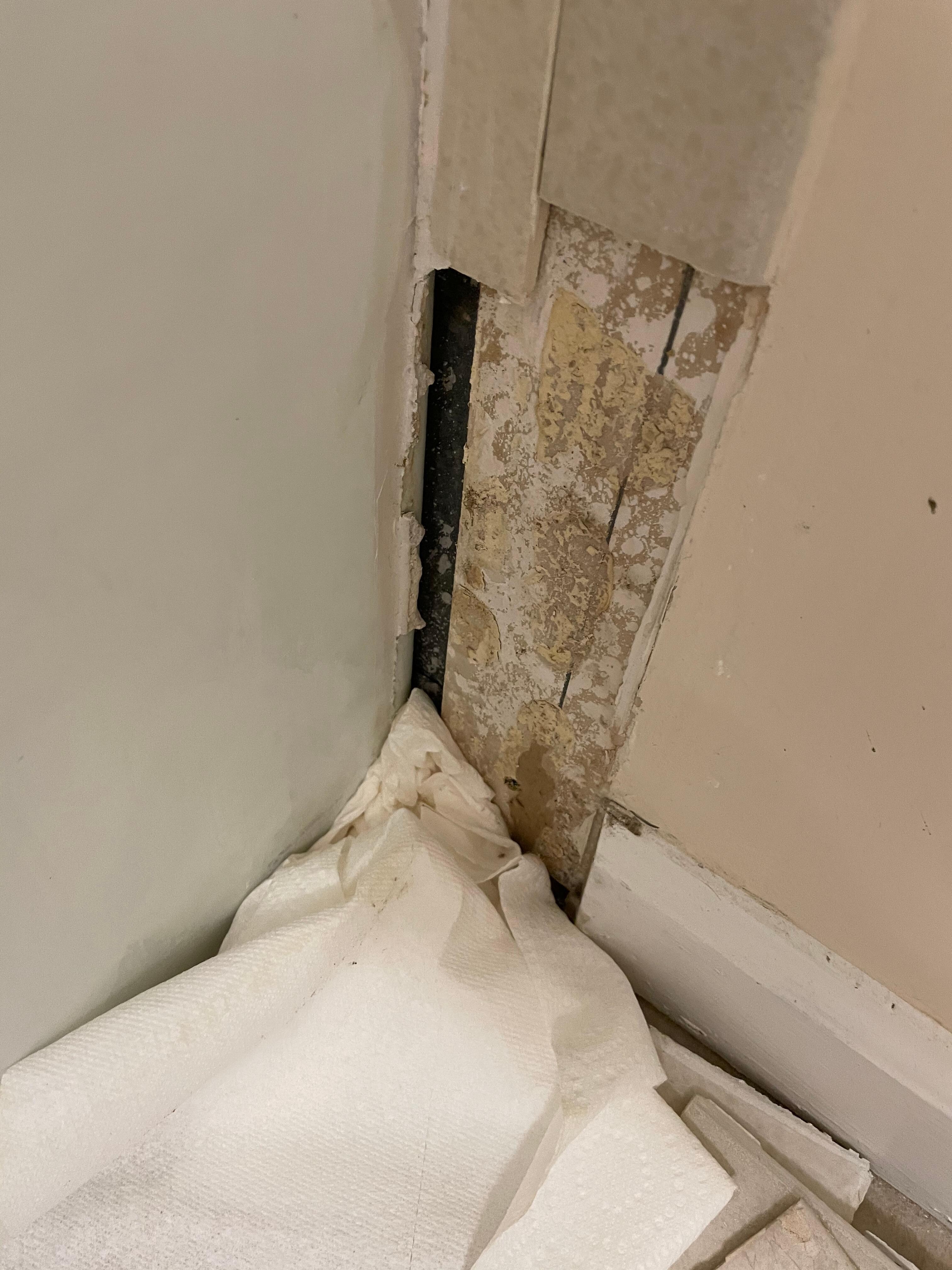 Tiles falling out of wall