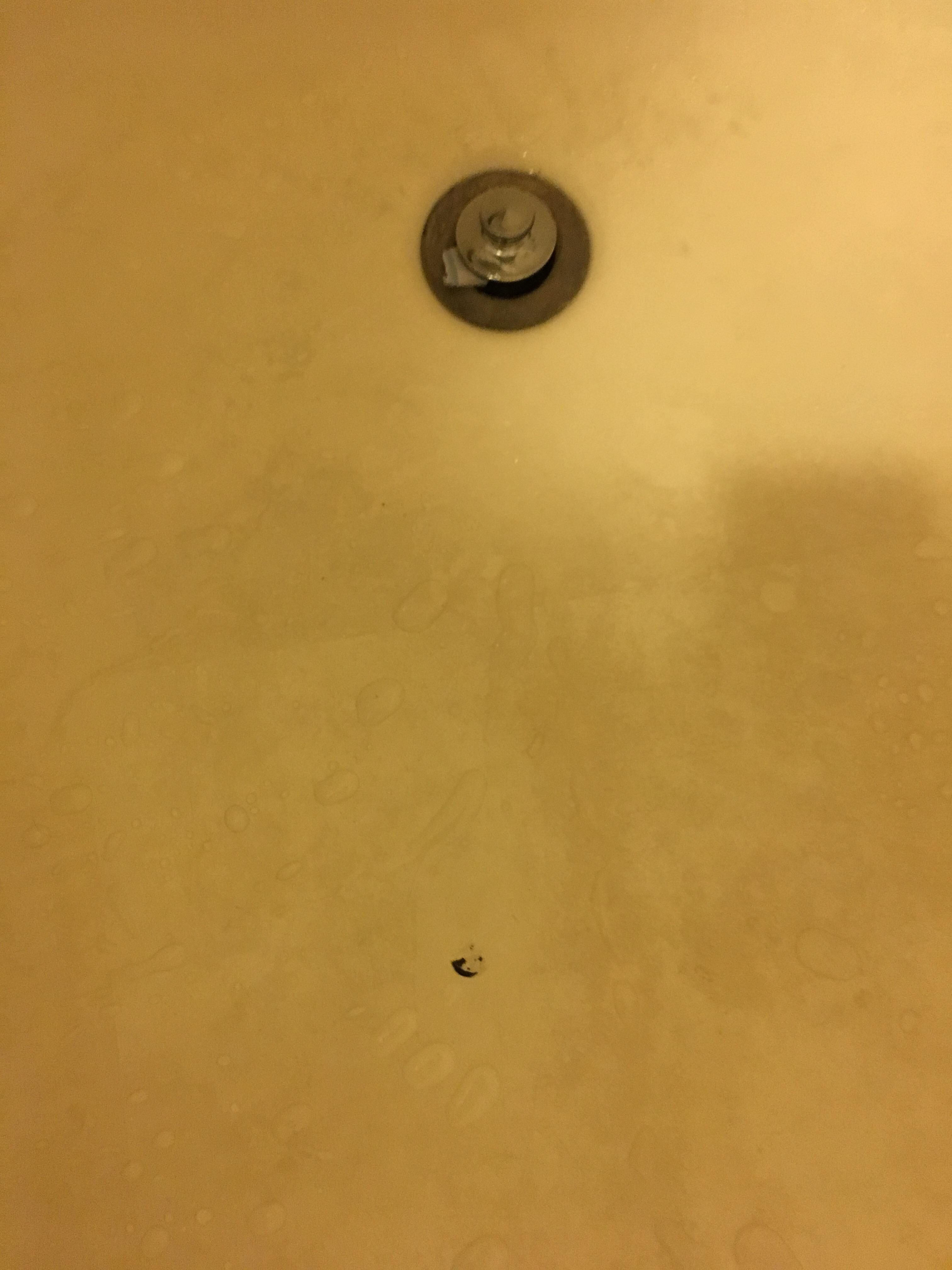 Had to put a piece of paper and drain to hold up the drain.