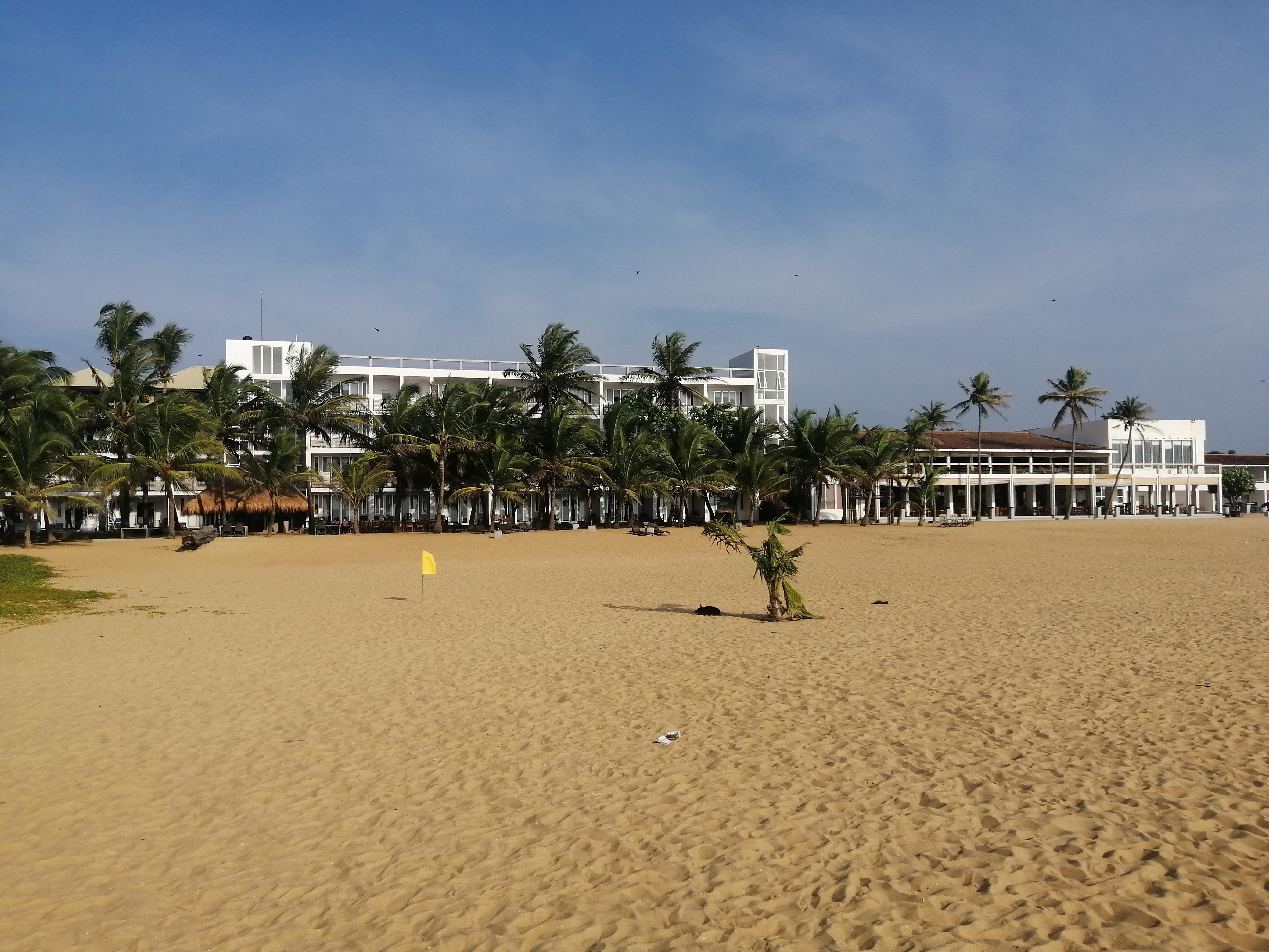 View of the hotel from the beach