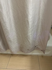 Moldy shower curtains