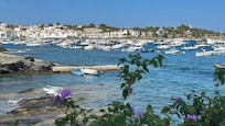 Petit porc de cadaques