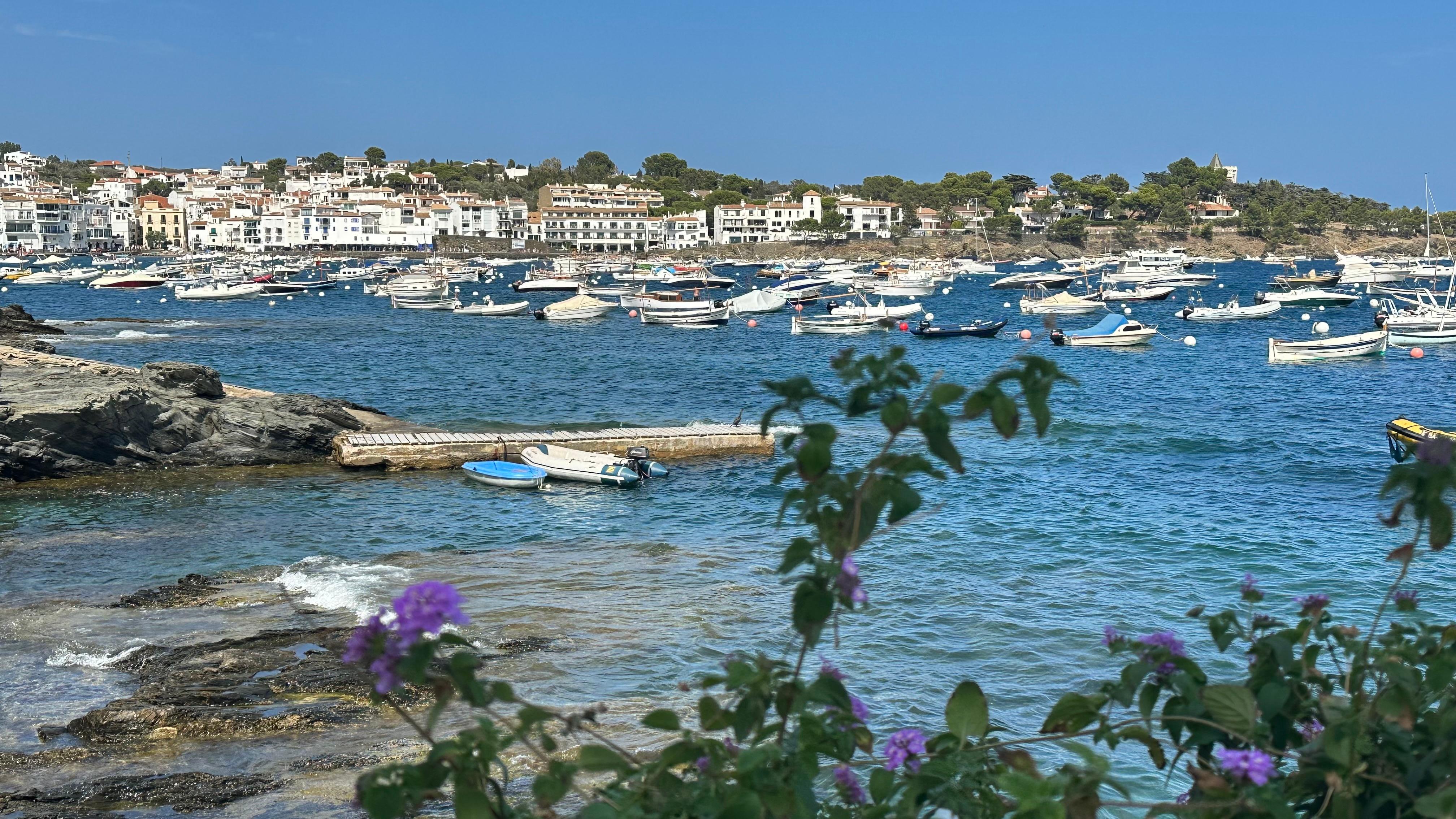 Petit porc de cadaques 