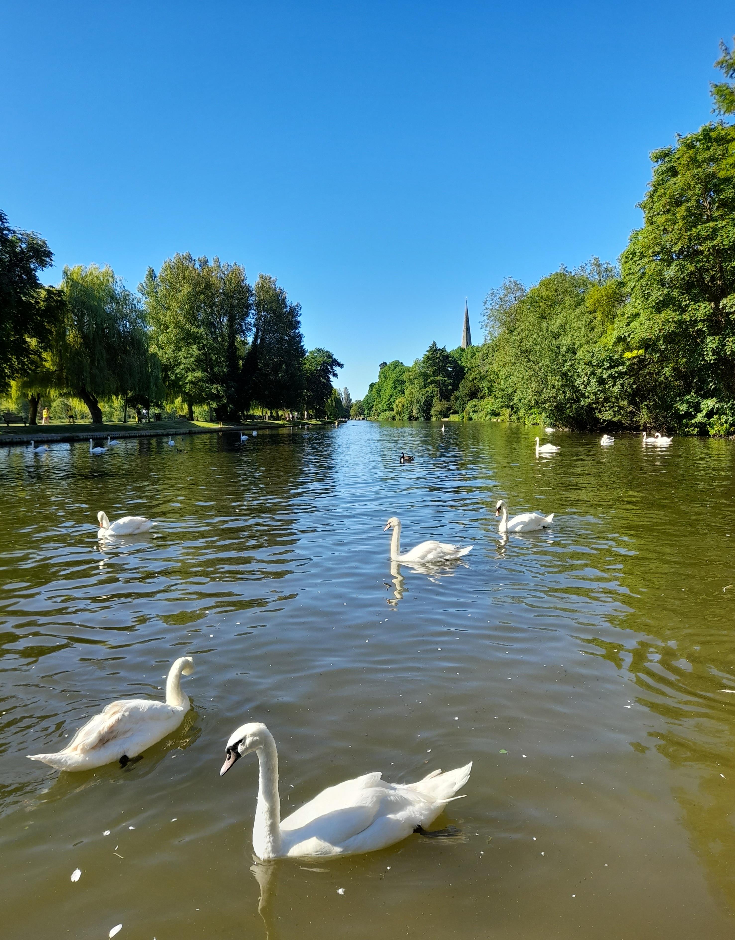 View of the River, a short walk across the Road from the Hotel.