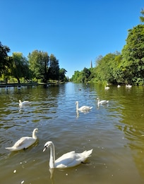 View of the River, a short walk across the Road from the Hotel.