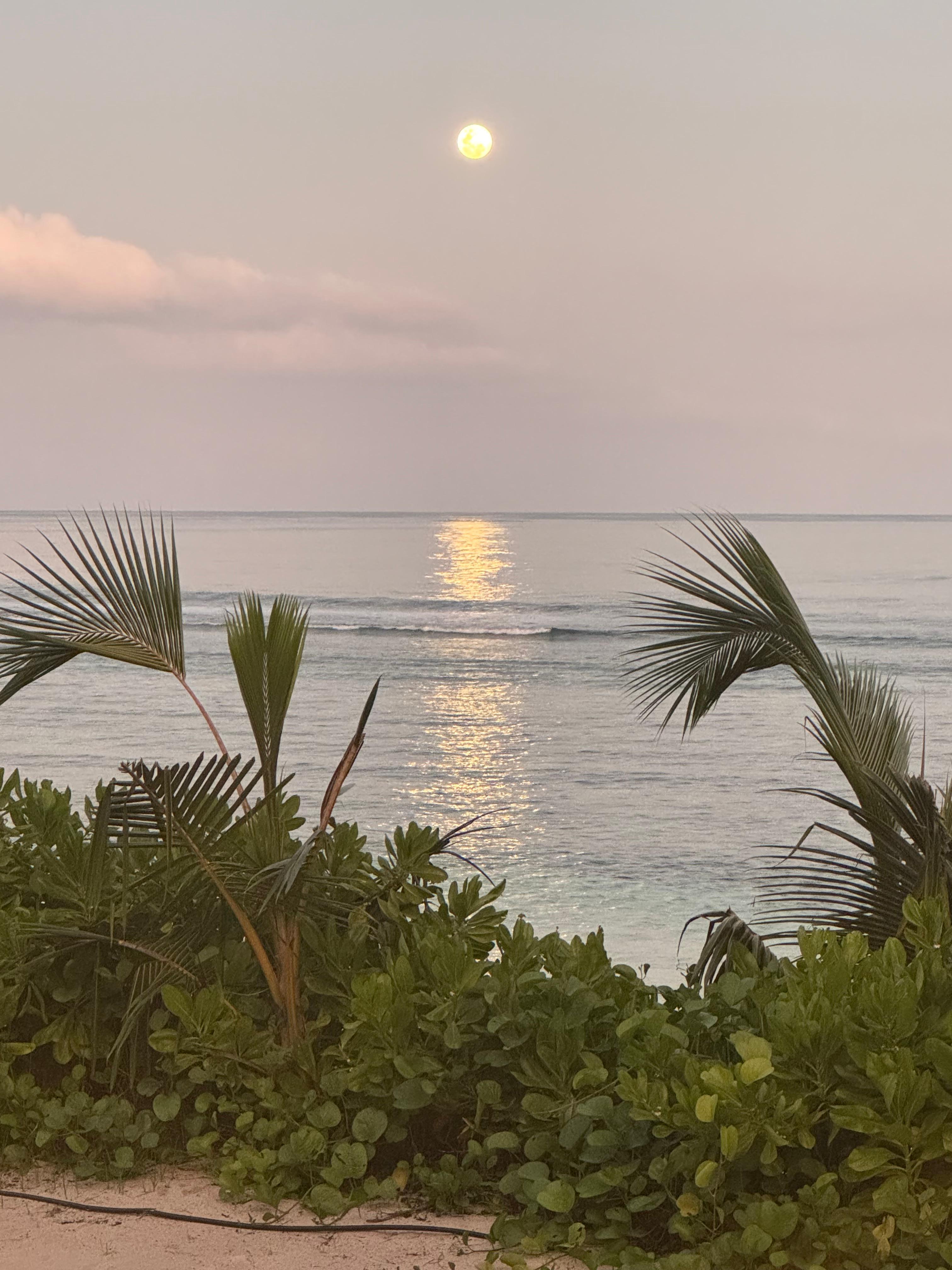 Sunset on the beach with the blue moon in tow!