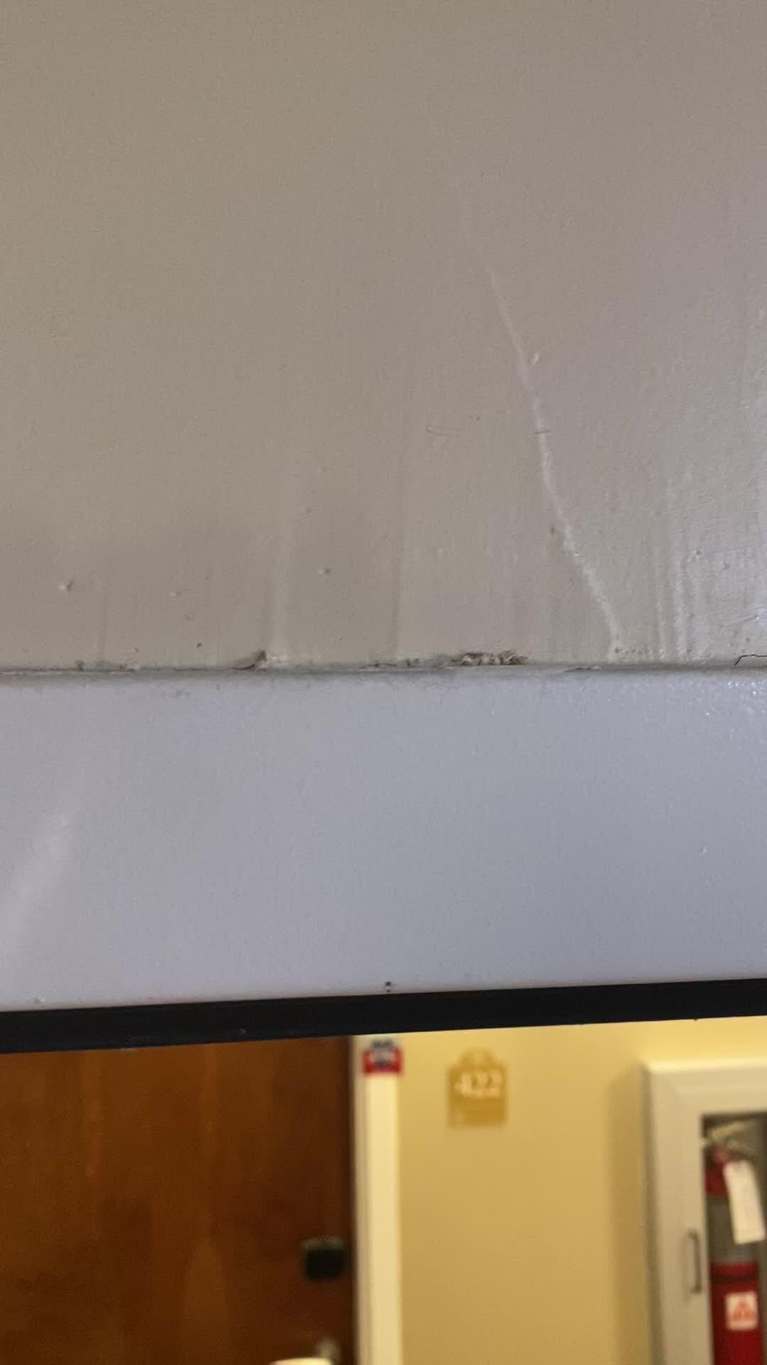 Ant super highway above the door jam hard to see they are tiny