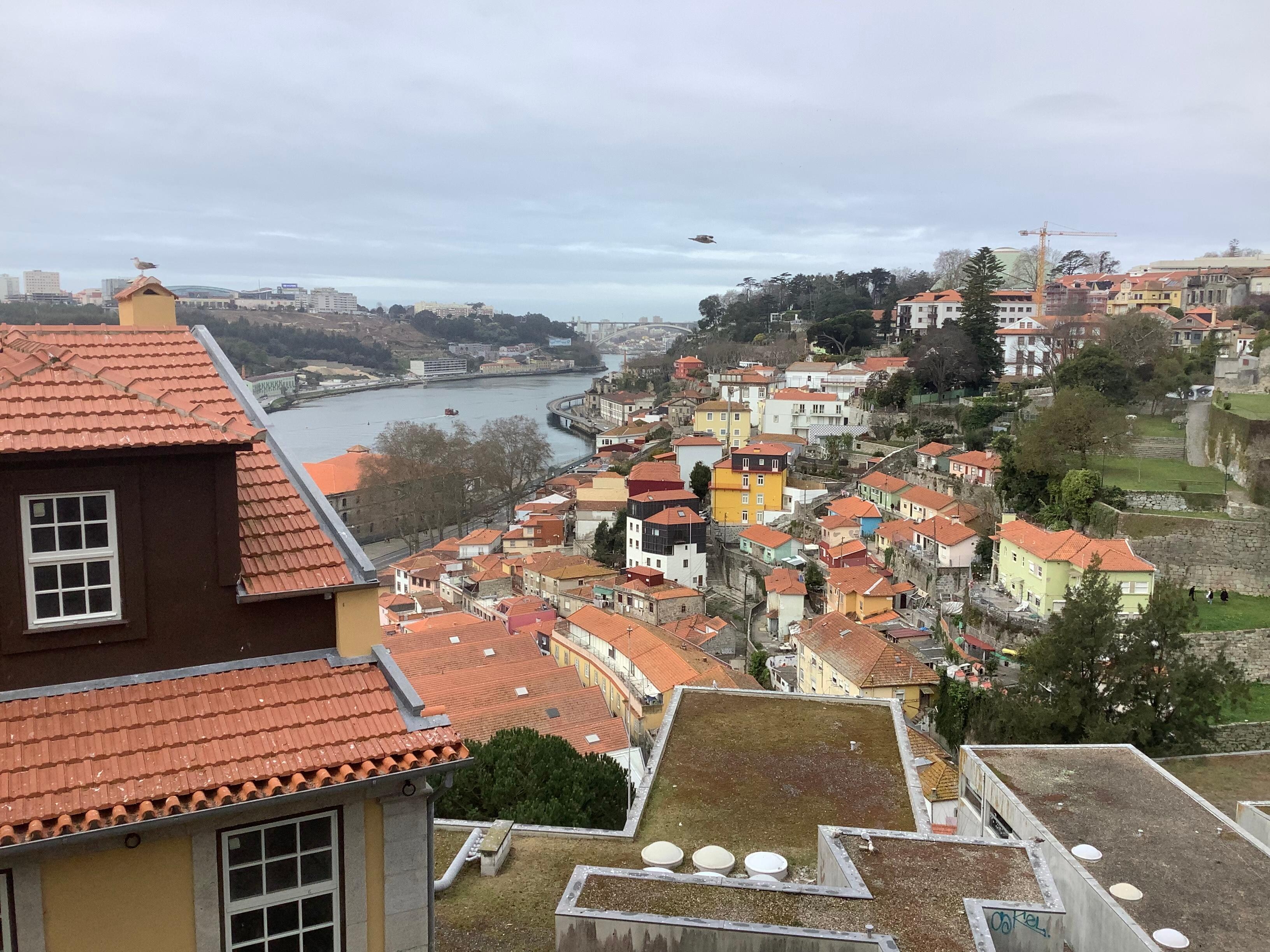 View from the room balcony