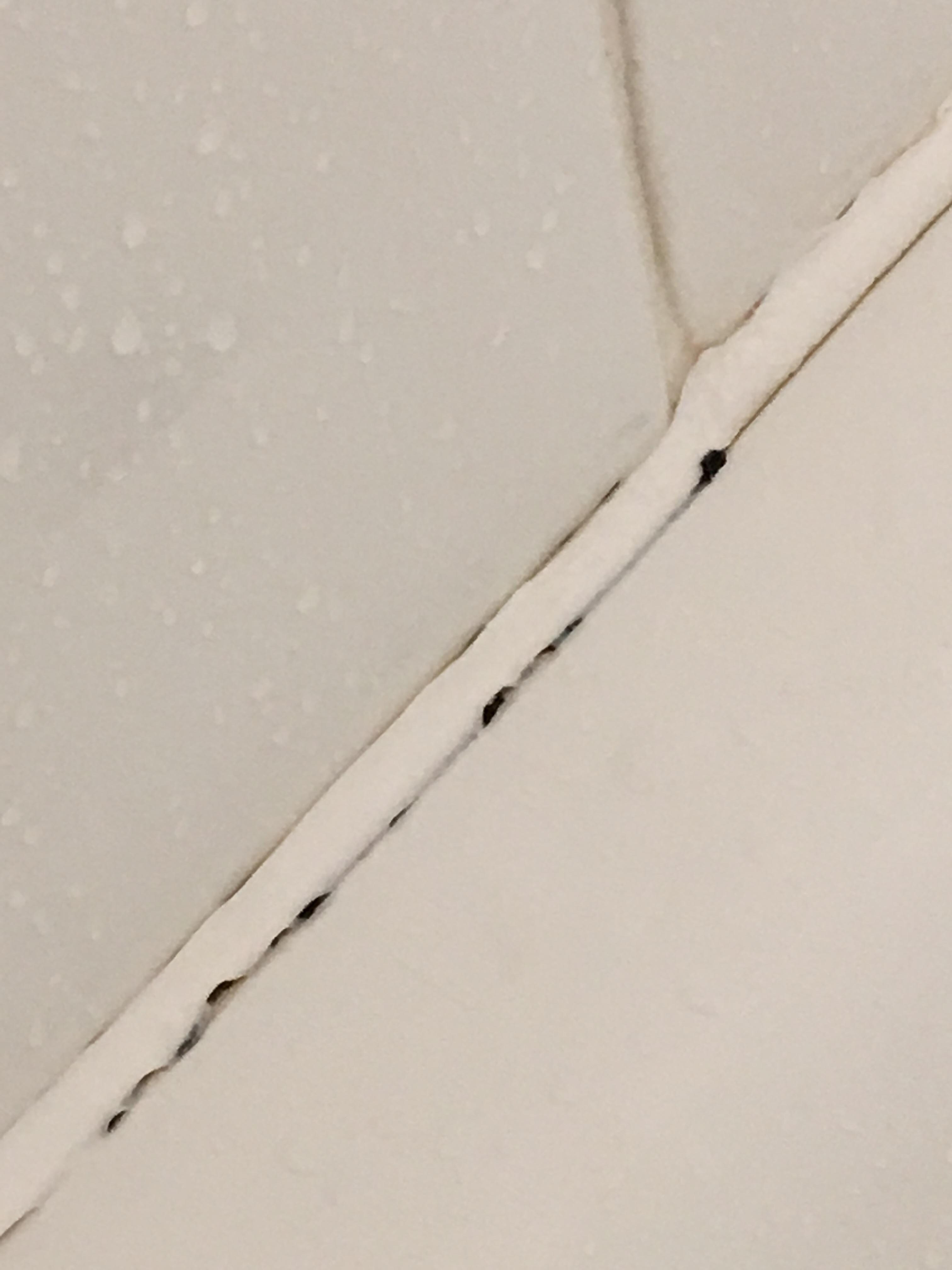 Ceiling and wall damage
