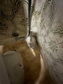 Scopino del bagno rotto