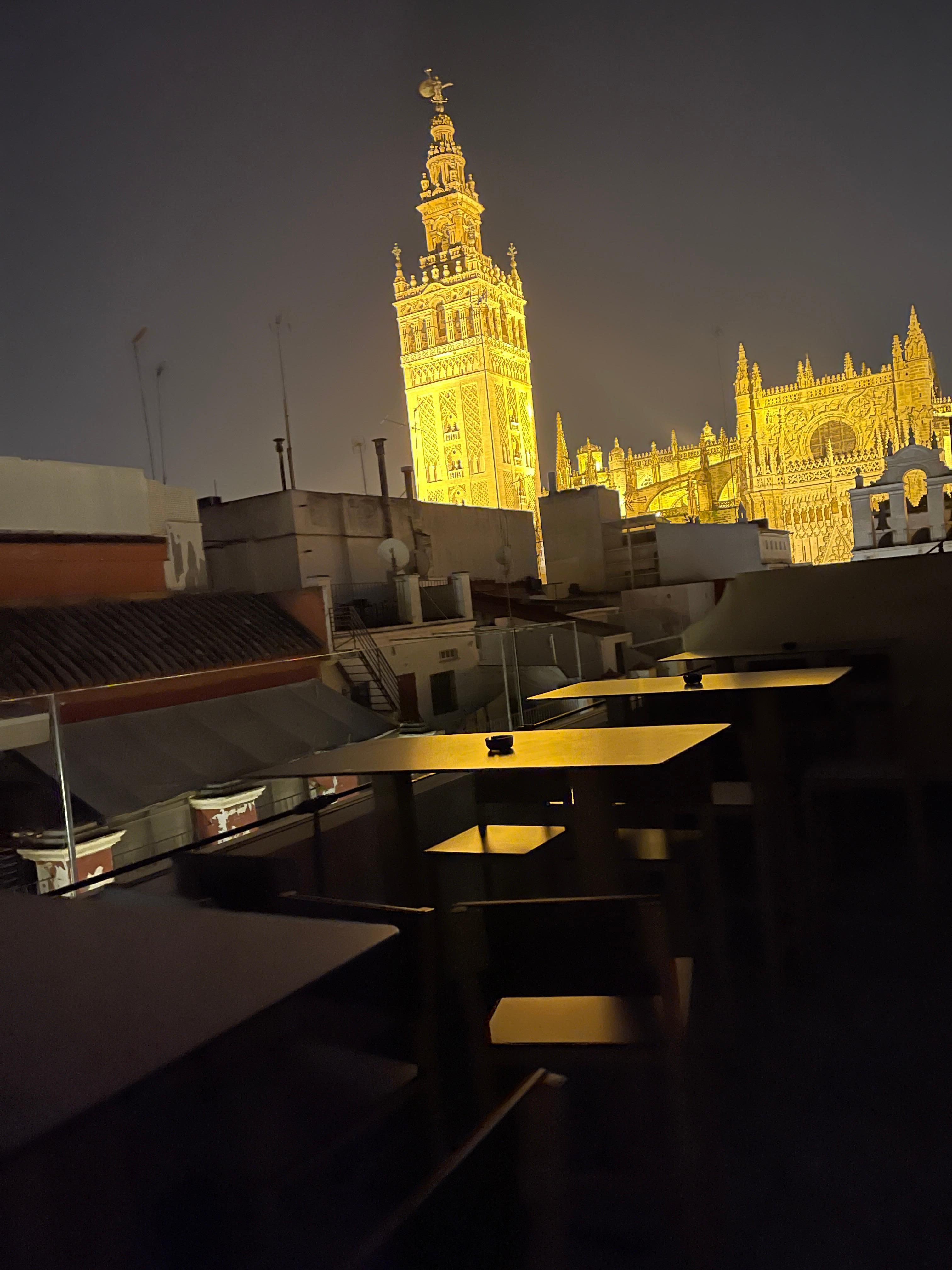 View from rooftop. Note, deck chairs have changed from hotel photos