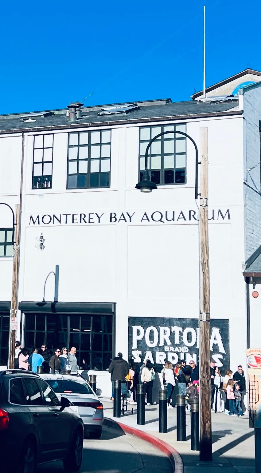 Just outside the hotel, the Monterey Bay Aquarium is one of the best in the world!