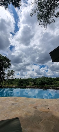 Stunning infinity pool overlooking River with view of hippos and crocs. Add a cocktail for ultimate relaxation in between safari drives.