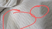The dusts on the bedsheet.