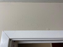 Des poils sur les murs