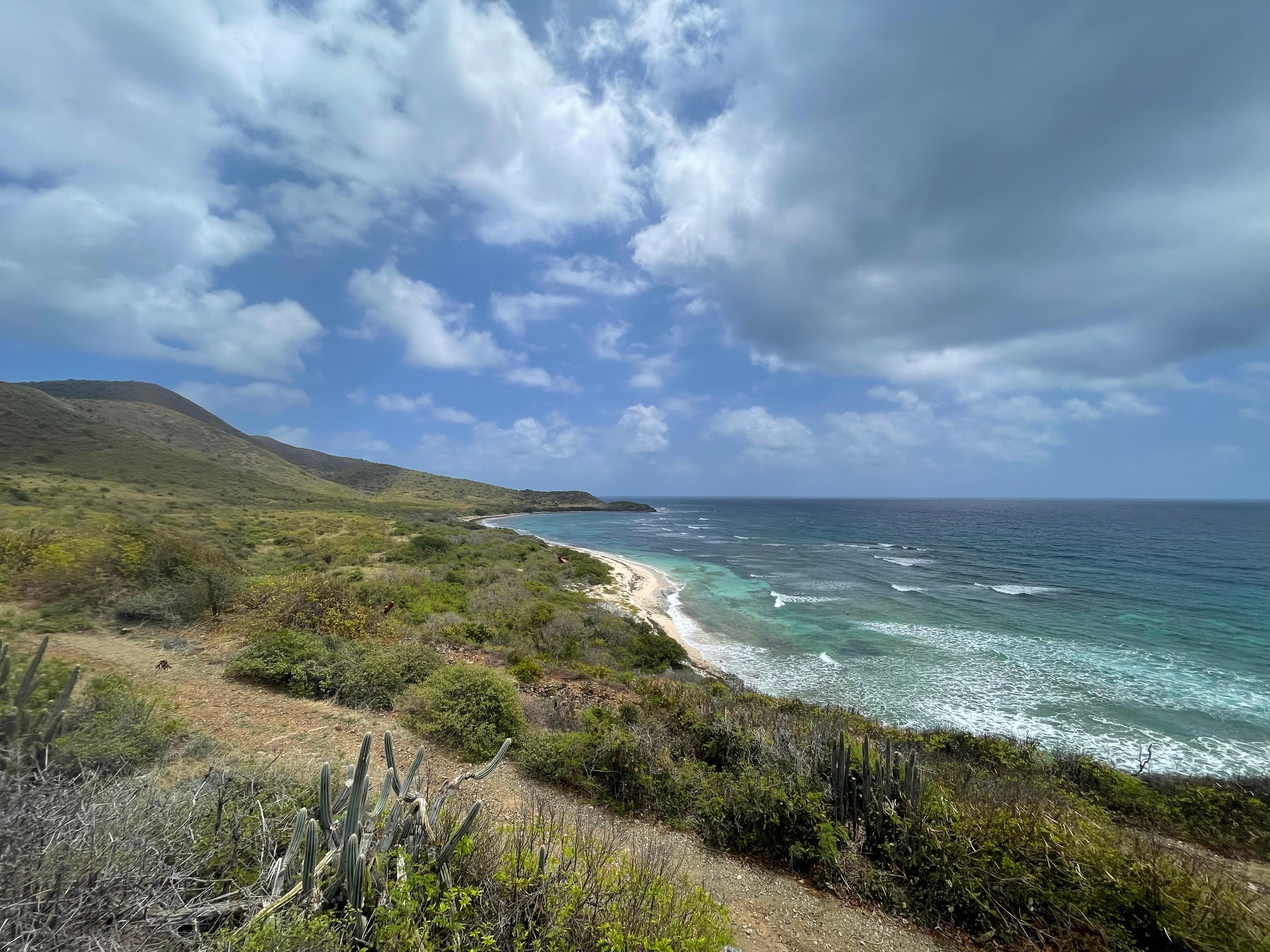 Jack’s Beach a quick hike away