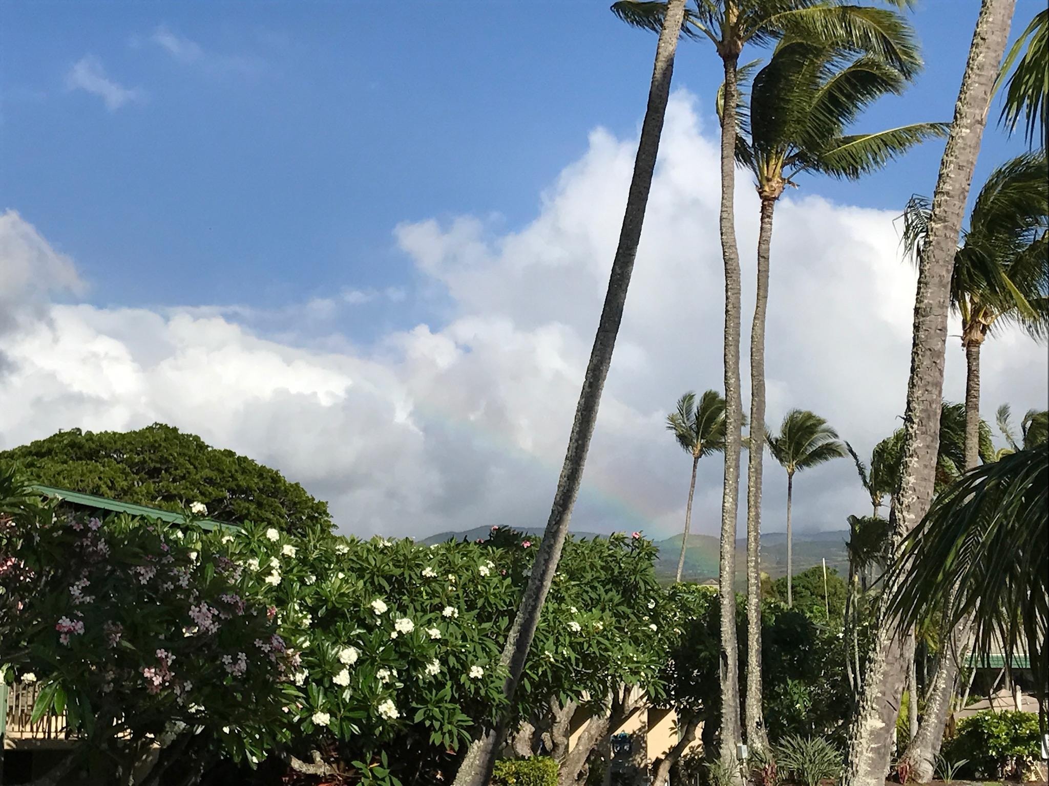 View from the pool area.