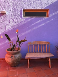 Lovely colors, lots of flowers and plants
