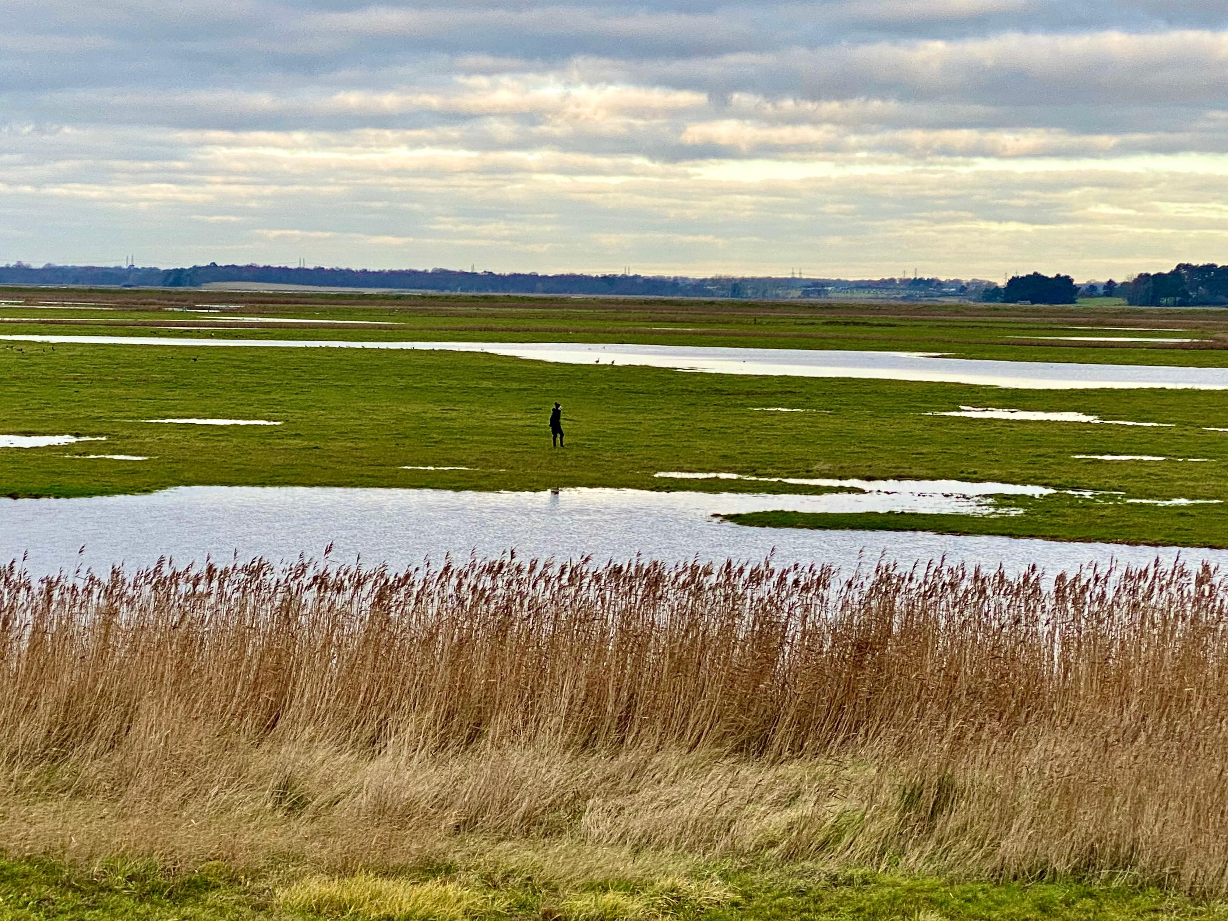 Aldeburgh marshes