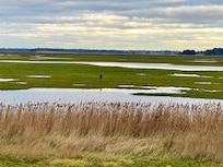 Aldeburgh marshes