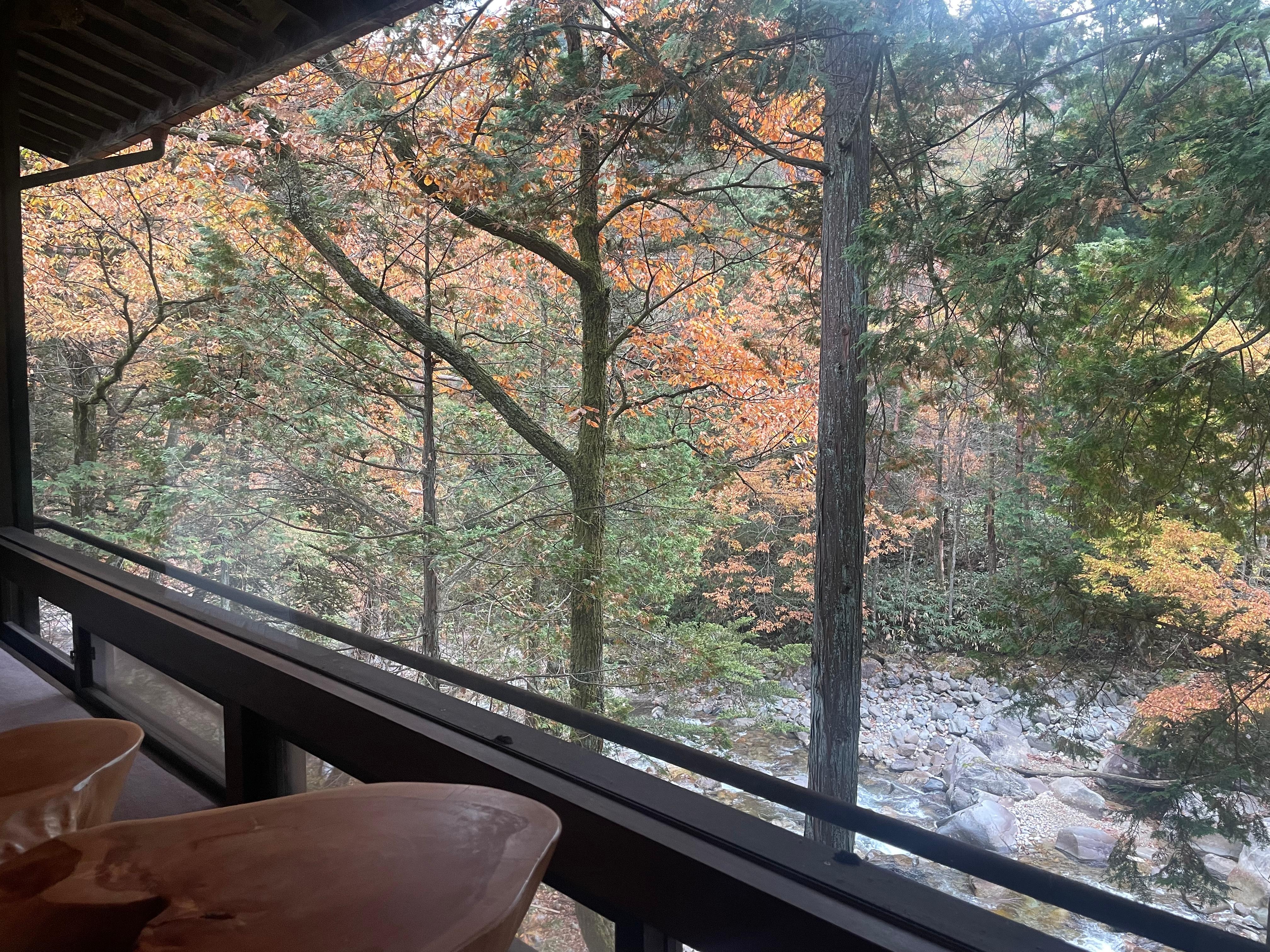 部屋から見える景色に癒されます。