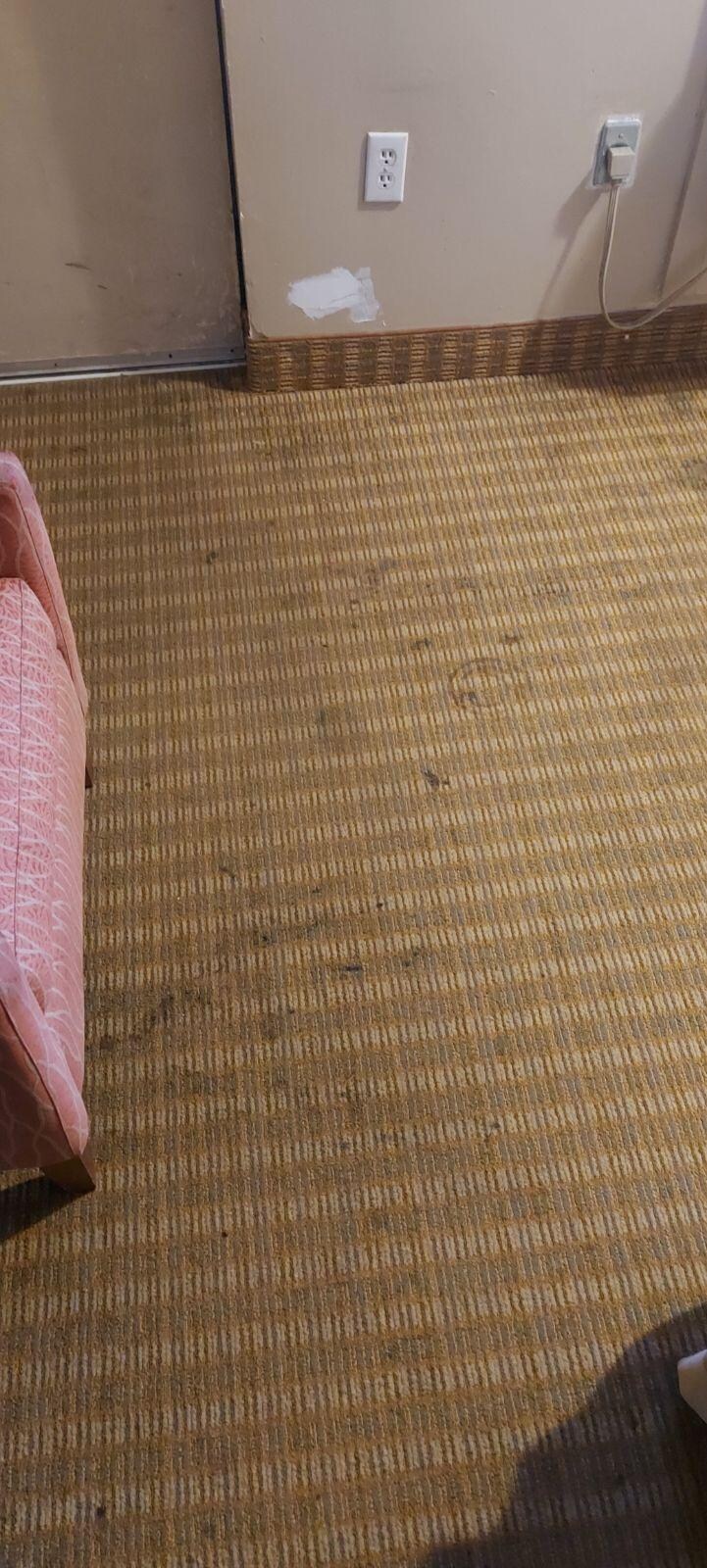 The whole carpet was like This