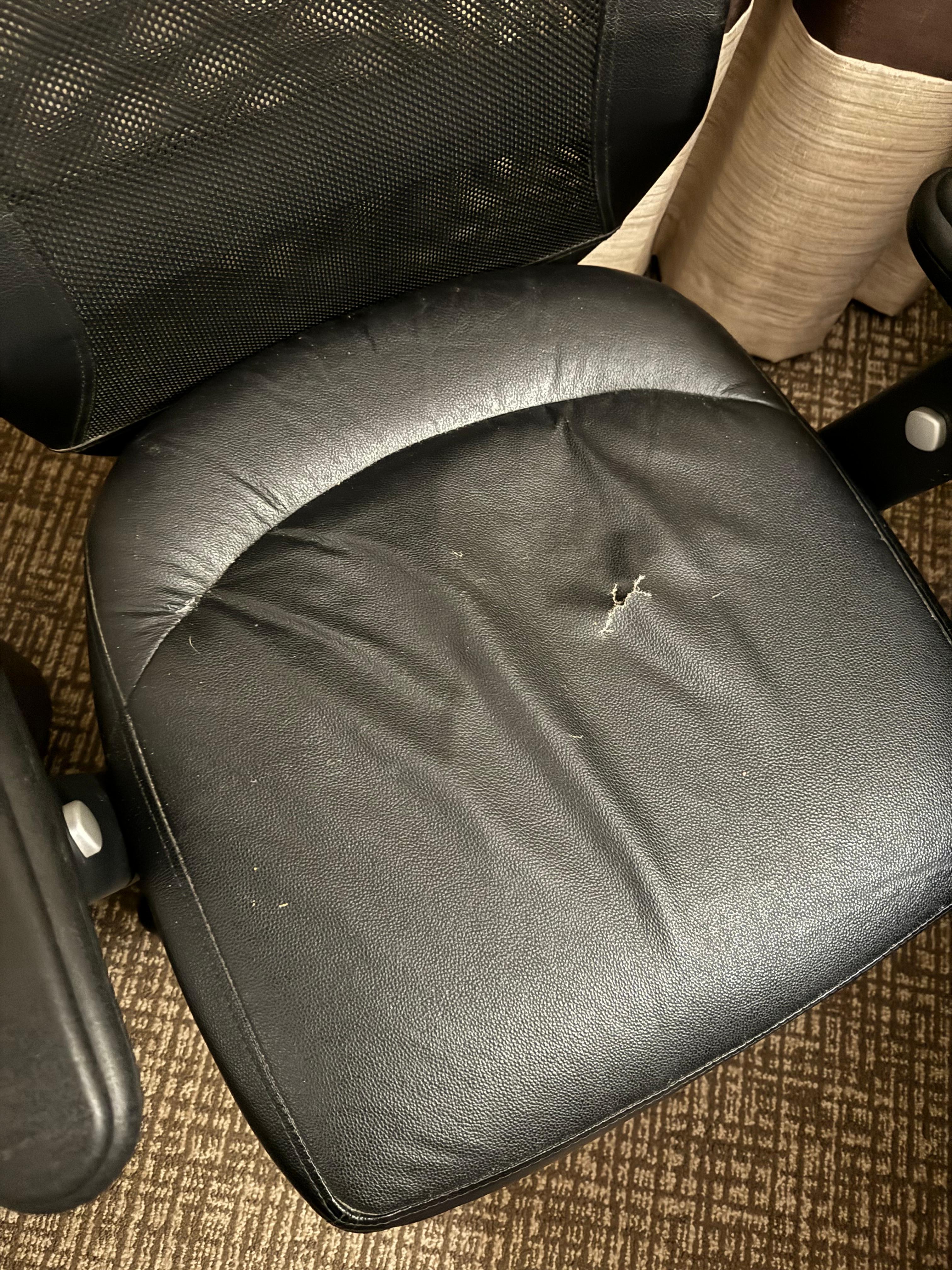 Computer chair in the room