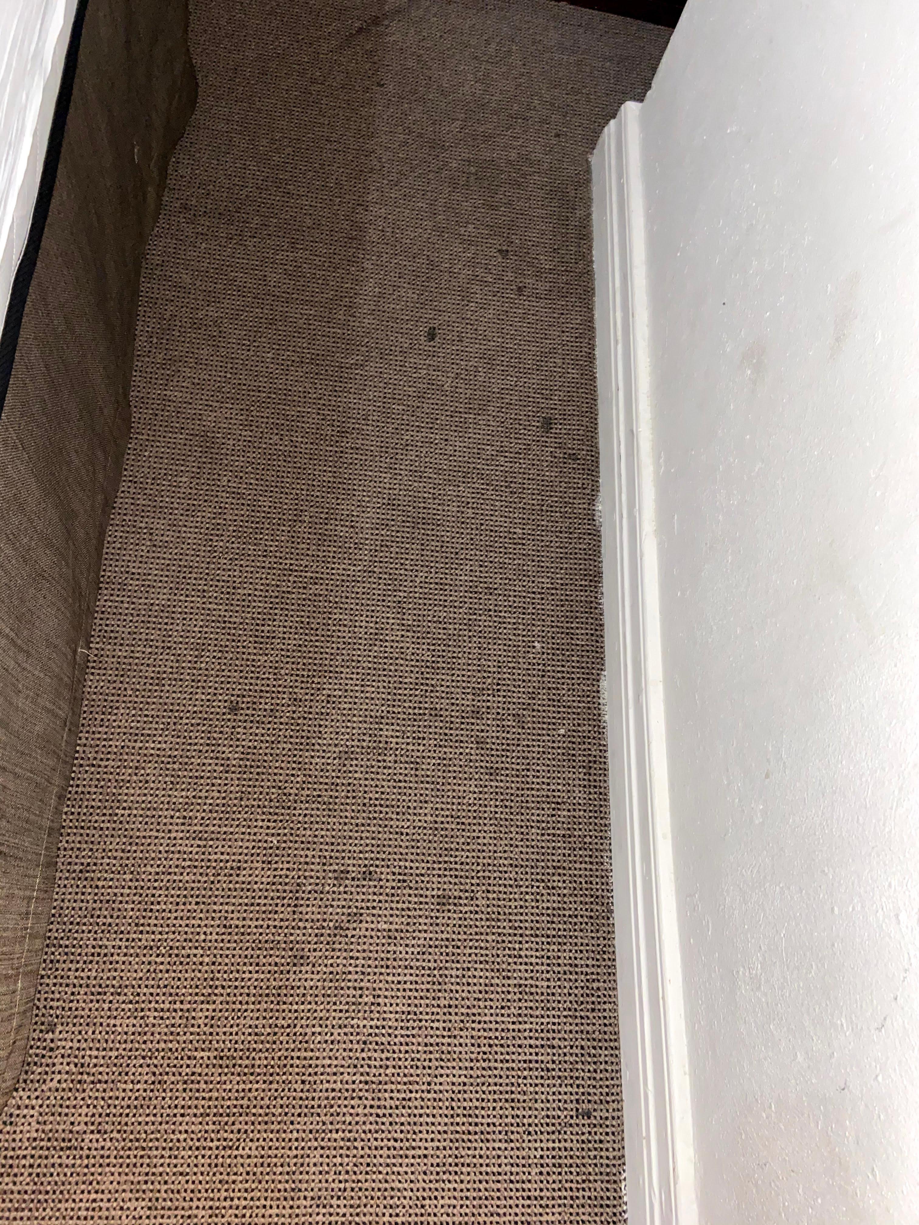 Dirty carpets and stains on carpets and dirty marks on wall.