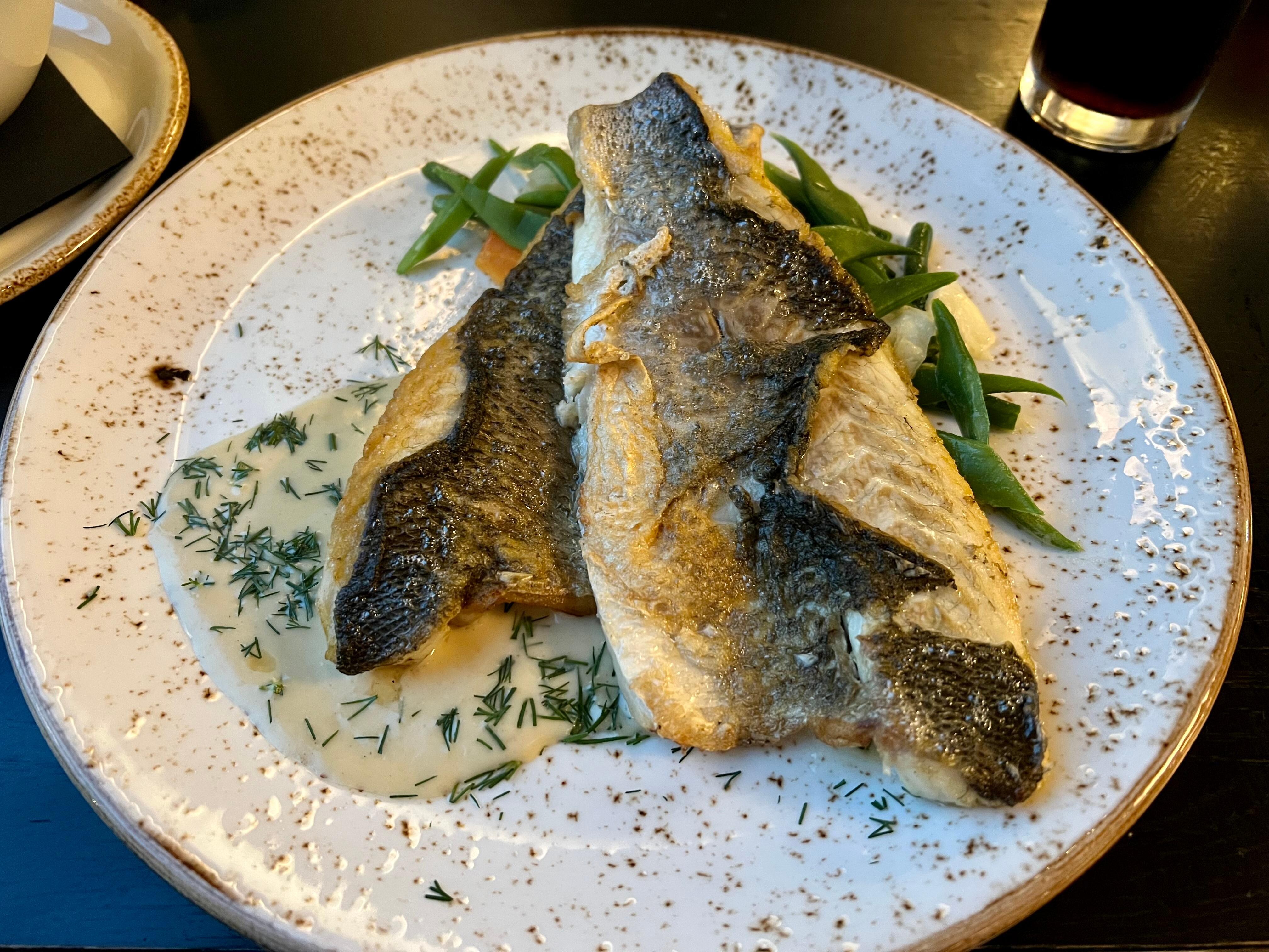 Sea bass 