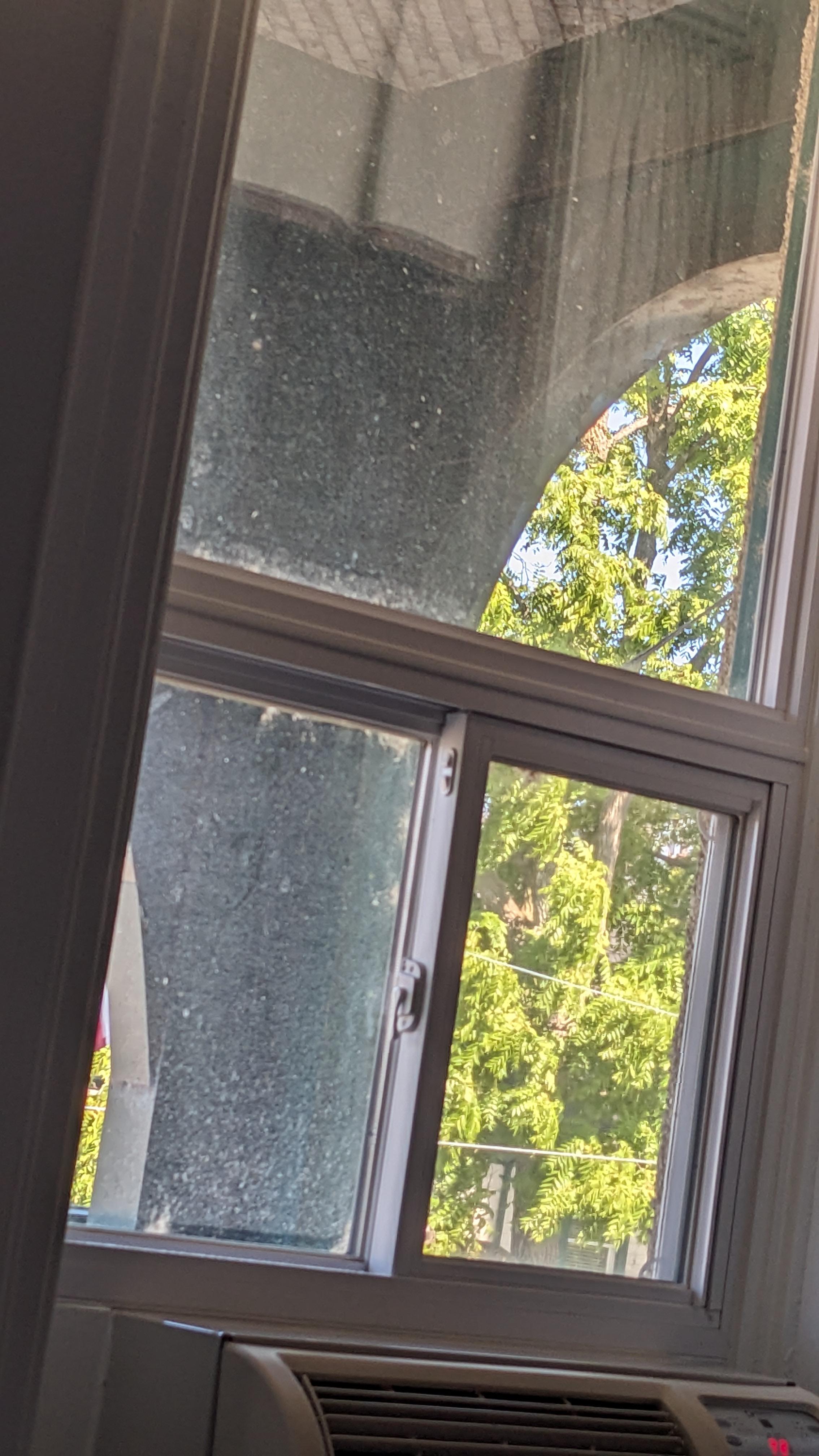 Filthy window looking out to more filth. 