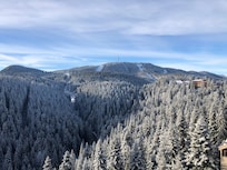 View from the room