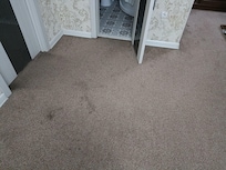 Dirty rug