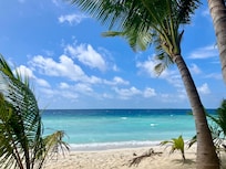 The beach