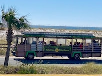 Remember to take the free trolley