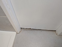 Damage from damp