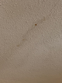 Cracked and leaking ceiling