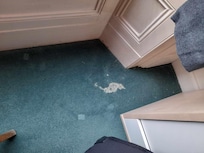 Holes in the carpet