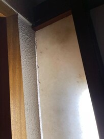 A entrada do quarto suja e cheia de mosquitos