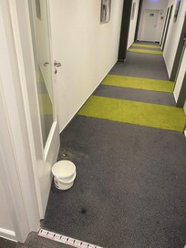 Der Eimer stand 3 Tage im Gang, keine Ahnung vielleicht ist das Dach undicht?