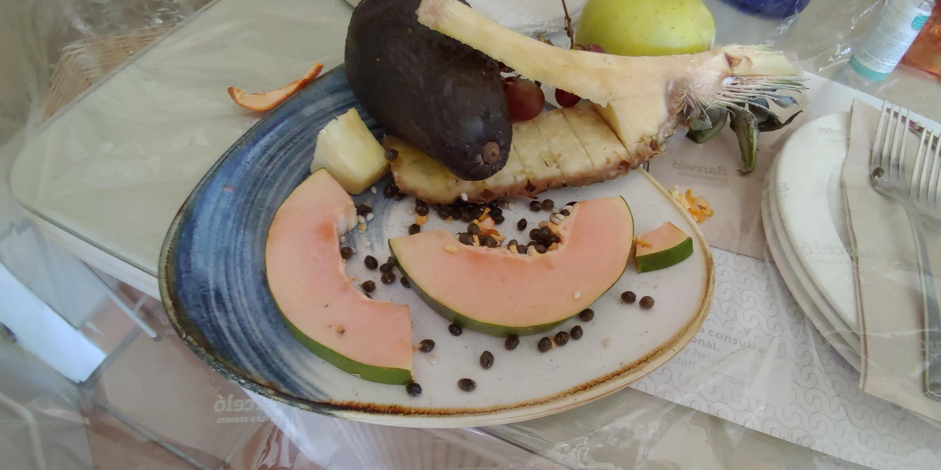 Frutas de pedido de desculpas, mas estavam verdes, não dava para comer