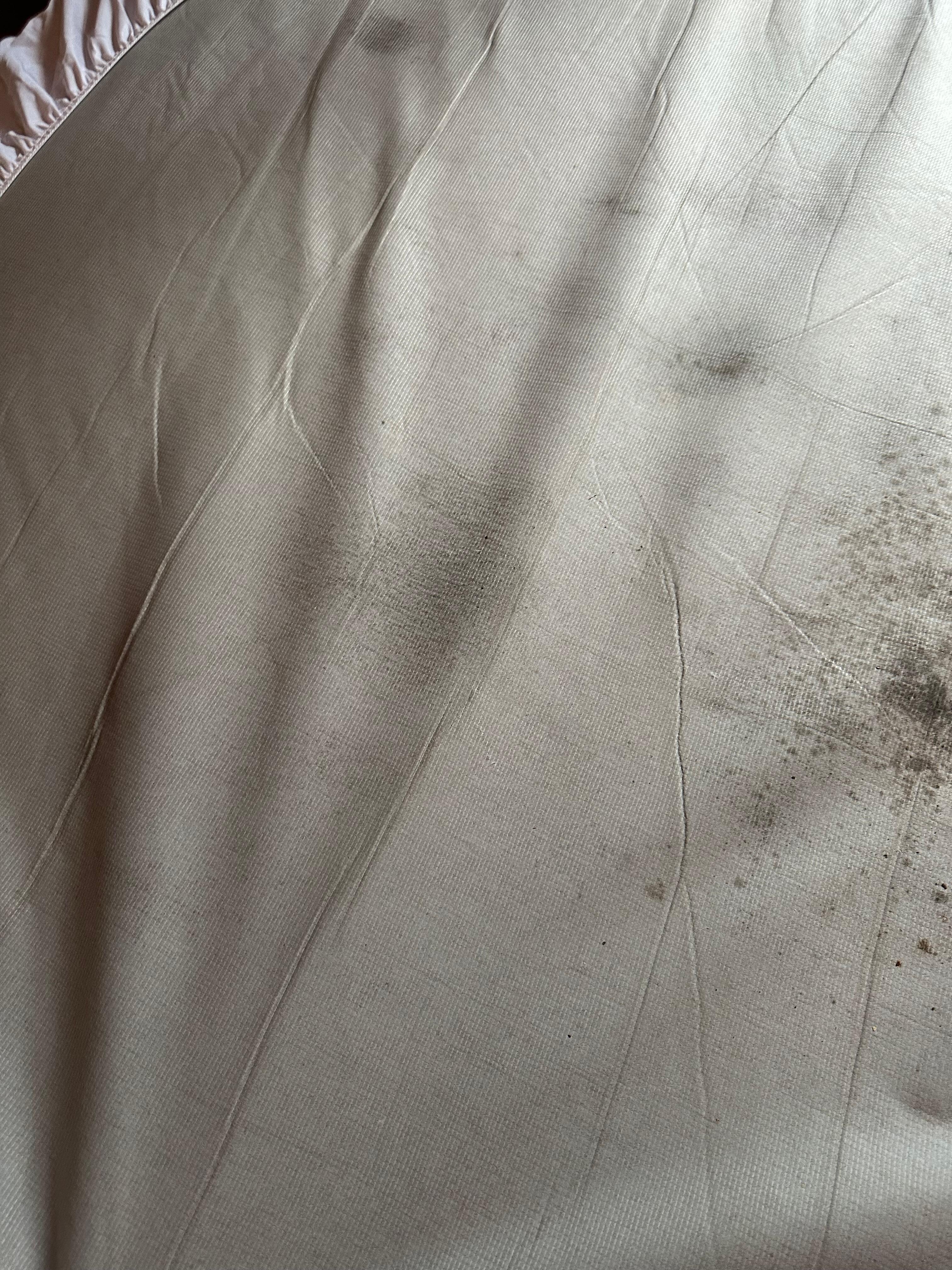 Mold on bed