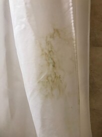 Visible mold on the shower curtain